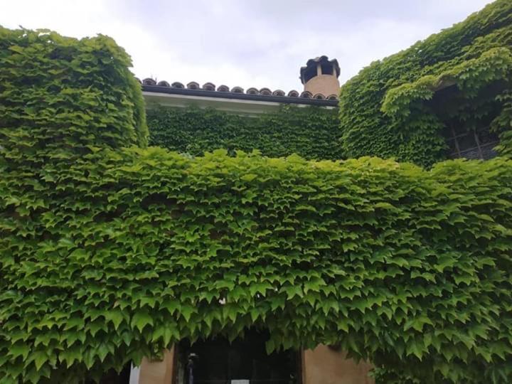 Hotel La Posada De Lalola Buera المظهر الخارجي الصورة